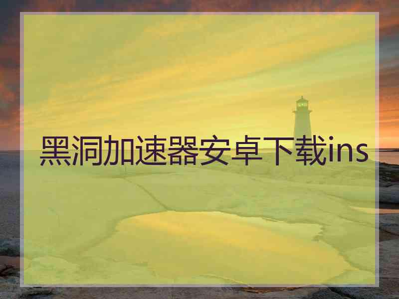黑洞加速器安卓下载ins
